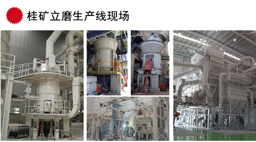 Vĥa(chn)F(xin)(chng)2.jpg